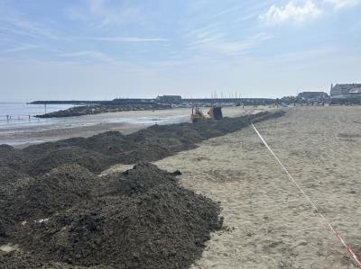 Section of beach closed off for replenishment