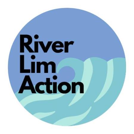 River Lim Action logo, blue graphic waves in circular shape