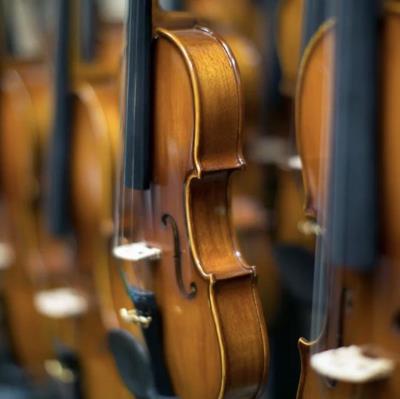 Spring Concert - Bridport Chamber Orchestra, A trip to Italy