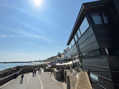 New Exhibitions, Walks and Activities await visitors at Lyme Regis Museum this summer!