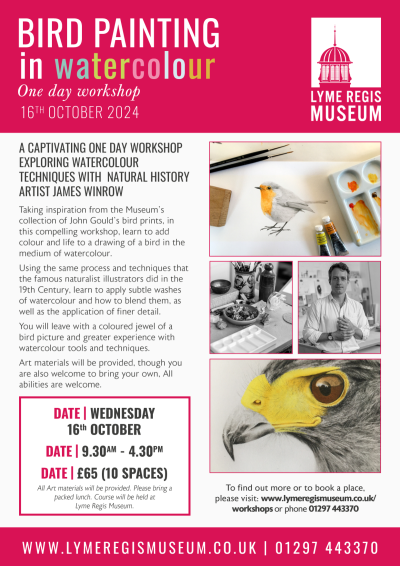 Bird Painting Workshop at Lyme Regis Museum